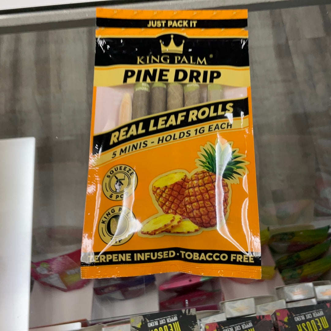King palm pine drip 5 minis